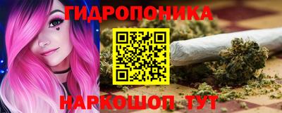 прущие грибы Донской