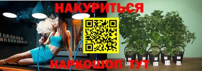 прущие грибы Донской