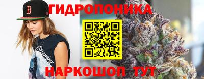 соль ск Дубна