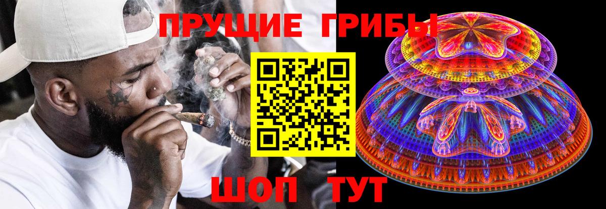 Галлюциногенные грибы GOLDEN TEACHER  Вход с VPN  Псилоцибиновые грибы мицелий  Орск 